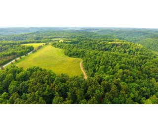 Property photo 45 - LAND AUCTION - 1,050+/- ACRES OFFERED IN 21 TRACTS PLUS 450+/- ACRE HUNTING LEASE IN MUSKINGUM COUNTY, OHIO